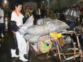 海鲜店上班怎么样（超市跟车送货装卸工累不累）