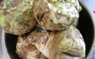 粉疙瘩哪里（粉疙瘩是哪的特产）