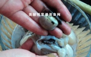 墨鱼为什么不宜吃,墨鱼哪里不能吃图解