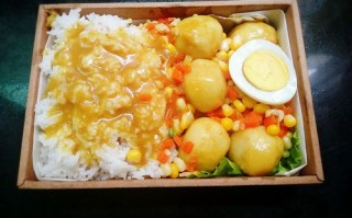 怎么样做好盒饭（便当盒饭做法）