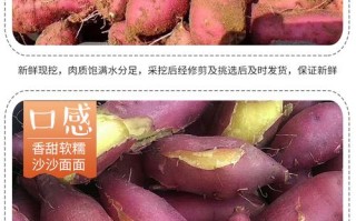 产香甜红薯的十大产地,哪里地瓜好吃又便宜