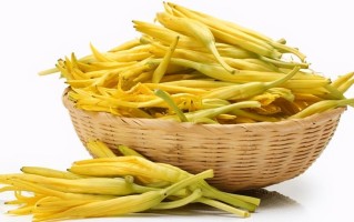 哪里黄花菜好（哪里黄花菜好吃）