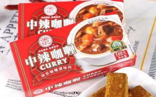 咖喱哪里的最好吃（国产咖喱块哪个牌子好）