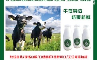 牧特巴氏奶食品怎么样（华山牧和多鲜的巴氏鲜奶哪个好）