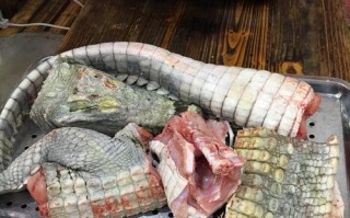 武汉哪里能吃饭鳄鱼肉（武汉哪里能吃饭鳄鱼肉的）