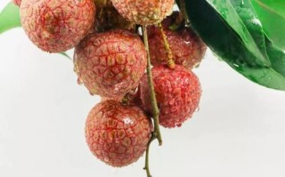 哪里荔枝好吃（哪里荔枝好吃又便宜）