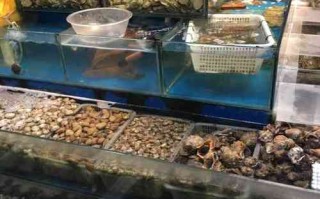 开个水产店利润怎么样（开个水产店利润怎么样啊）