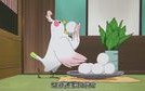 王妃家年糕火锅怎么样（玉子市场里面的鸟是什么身份）