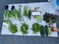 地摊蔬菜怎么摆放才吸引人,怎么样推销菜各种产品