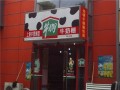 牛奶棚的牛奶怎么样（牛奶棚的牛奶怎么样保存）
