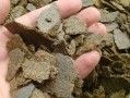 哪里有菜麸（哪里有厂家菜籽麸批发）