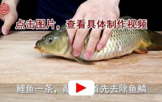 鲤鱼抽筋在哪里（鲤鱼抽筋在哪里抽）