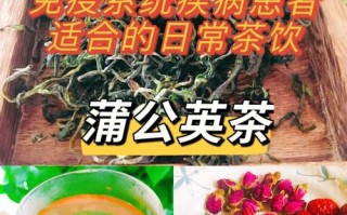 蒲公英茶哪里好（蒲公英茶哪里好喝）