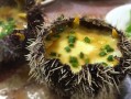 海胆哪里有毒（为什么不新鲜的海胆不能吃）