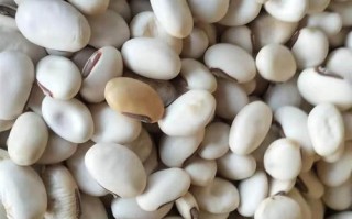 白扁豆哪里好（白扁豆哪里好?）