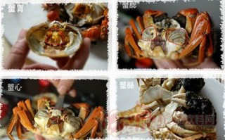 公螃蟹哪里能吃（公螃蟹什么地方不能吃）