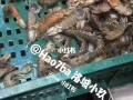 上海哪里卖皮皮虾（上海哪个海鲜市场有卖皮皮虾）