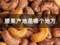 腰果产地,中国的腰果产自哪里