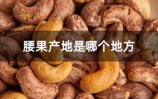 腰果产地,中国的腰果产自哪里