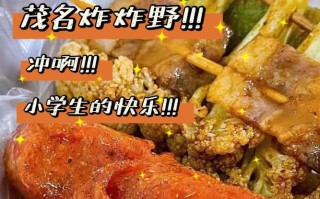 哪里炸炸好吃（哪里炸炸好吃又香）