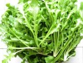 荠菜哪里最多（北京荠菜最多的地方）