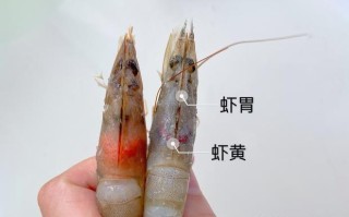 什么颜色的虾不可以吃,虾哪个地方不能吃图解