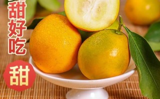 鲜金桔哪里买（新鲜桔子怎么收藏最好）