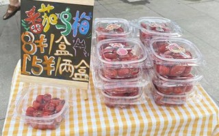 番茄乌梅摆摊好卖吗,番茄乌梅在哪里买