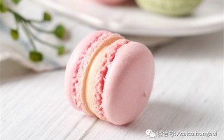 哪里可以学马卡龙（哪里可以学马卡龙舞蹈）