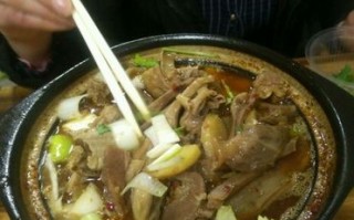 新兴羊肉砂锅去哪里学（湛江哪里有砂锅批发）