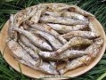 赣州哪里鱼好吃（赣州哪里鱼好吃又便宜）