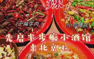 北京川菜哪里好（北京旅游好吃的餐厅）