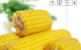 水果玉米哪里产的好吃（水果玉米哪里产的好吃又甜）