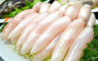 鱼鳔是哪里（鱼鳔哪里收购）