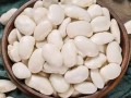 白豆产地哪里（白芸豆的产地介绍）