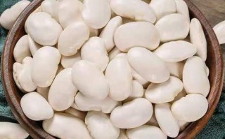 白豆产地哪里（白芸豆的产地介绍）
