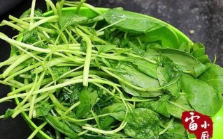 橄榄菜长在哪里（橄榄菜的种植方法和时间）