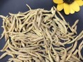 太子参哪里的最好（太子参哪里的最好?）