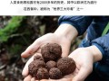 松露哪里的最好（松露哪里的最好吃）