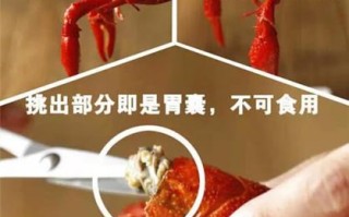 小龙虾的头哪里不能吃（小龙虾头哪个部位可以吃）