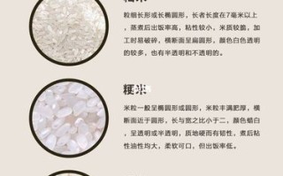 粳米是哪里的米（粳米是哪里的米类）