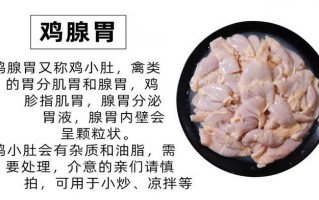 鸡小肚是鸡的哪里（鸡小肚是哪个部位）