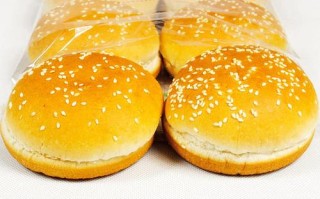 兰州哪里有卖汉堡坯的（兰州哪里有卖汉堡坯的地方）
