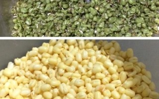 怎样能轻松把绿豆脱皮,去皮绿豆去哪里买的