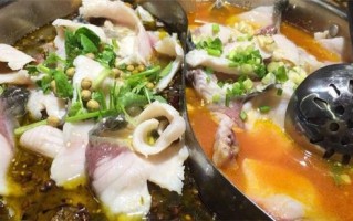 鱼还是鱼火锅怎么样（鲢子火锅和草鱼火锅哪个好吃些）