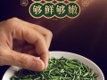 雀舌哪里产的好（雀舌哪里产的好喝）