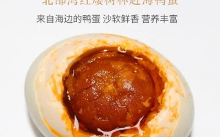 海鸭蛋是哪里（海鸭蛋是哪里的特产）