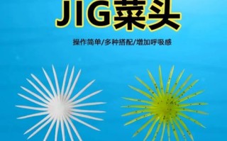 山浮自助火锅怎么样（东鼎浮水菜头怎么用）