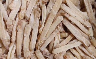 哪里沙虫干好（哪里沙虫干好吃又便宜）