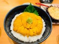 海胆主食有哪些,海胆饭哪里有卖的